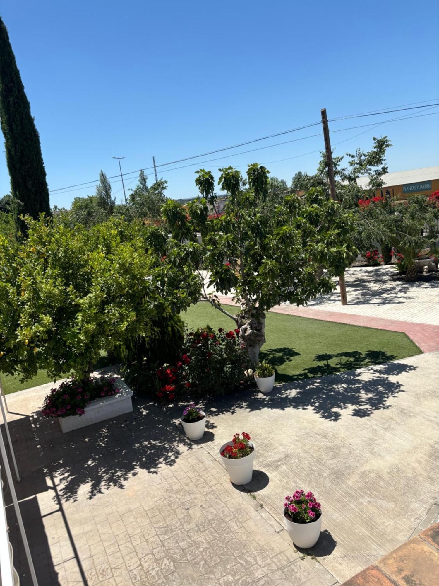 Finca Mi Alma Ogíjares 외부 사진